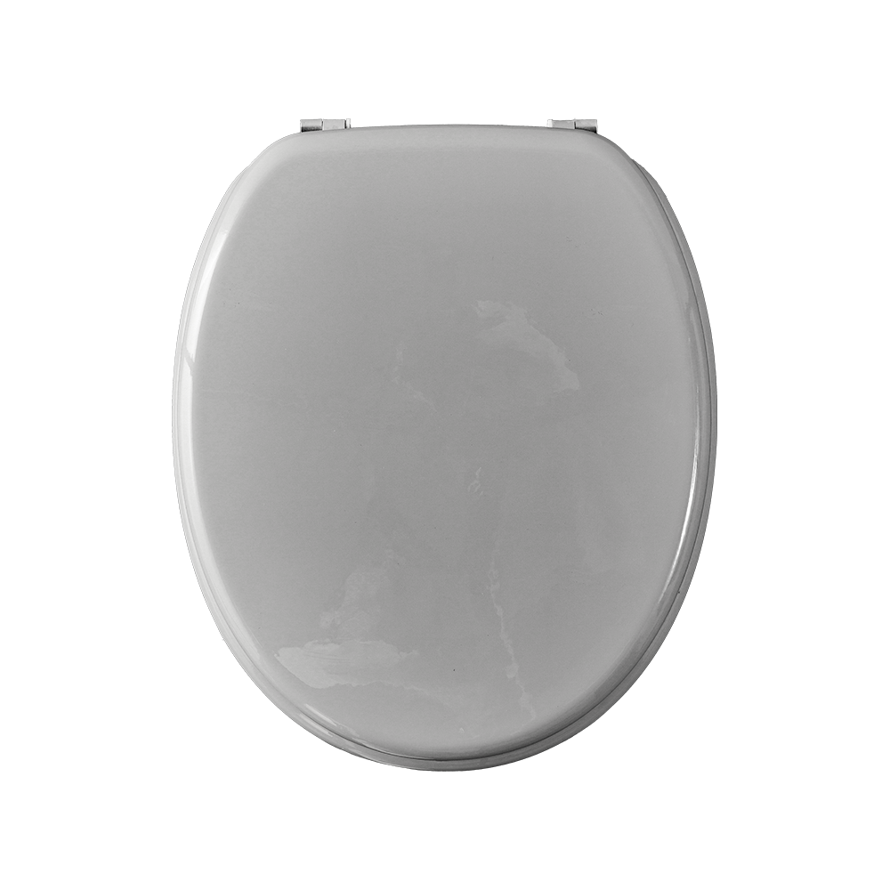 Stainless steel hinged laminated toilet seat